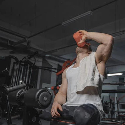 Premium Sports Nutrition