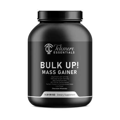 6lb Bulk Up! Mass Gainer Chocolate Milkshake