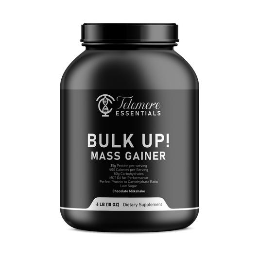 6lb Bulk Up! Mass Gainer Chocolate Milkshake